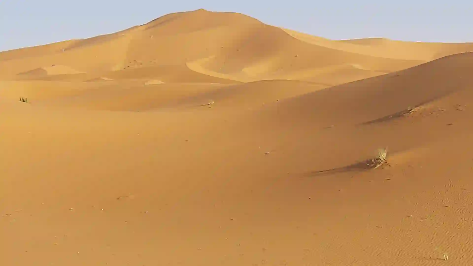 Rippled sand dunes under a clear Sahara sky