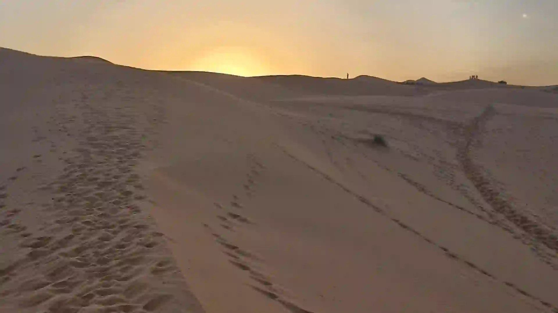Footprints trailing across a dune at golden hour